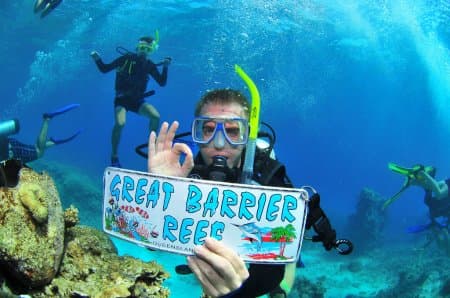 Dive photo