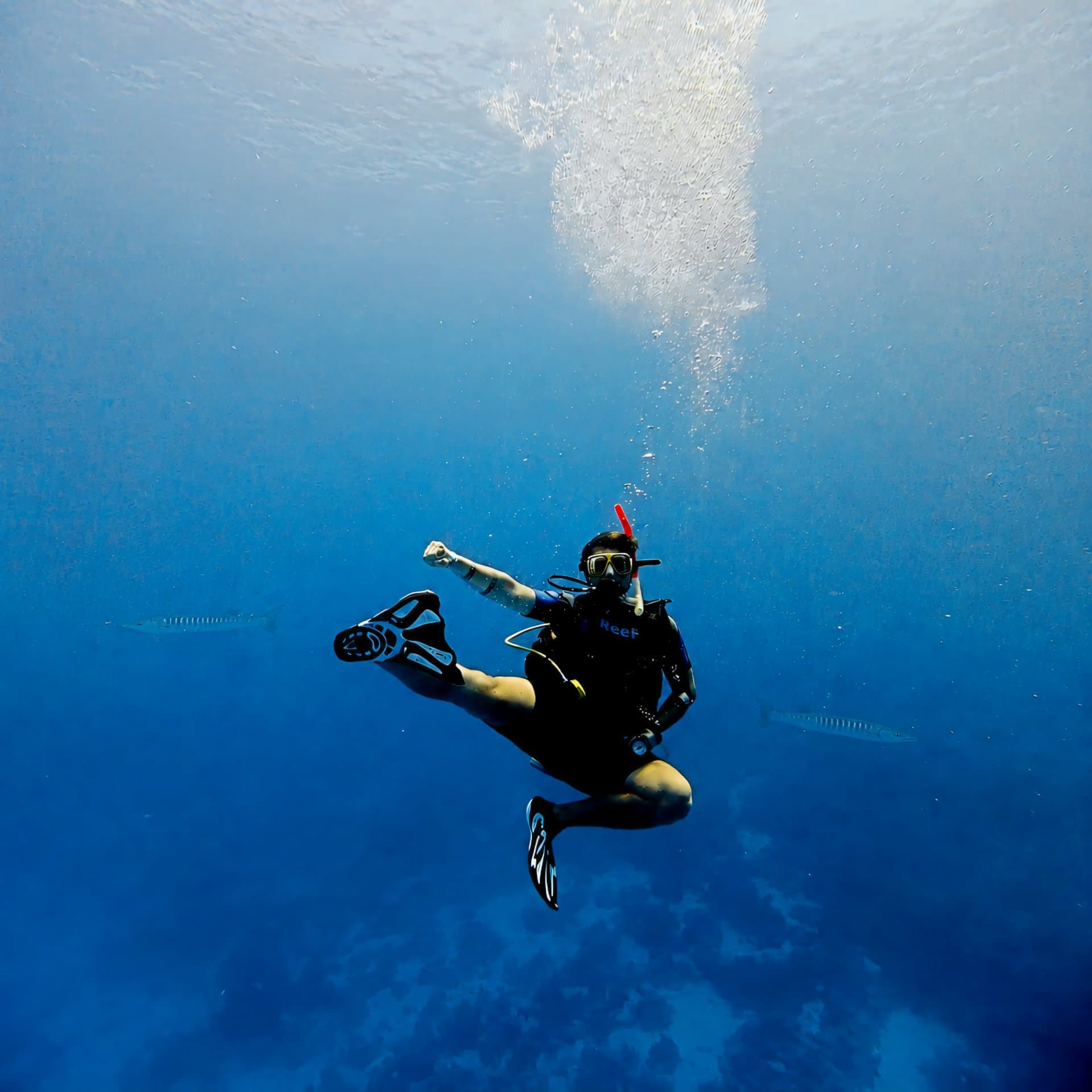 Dive photo