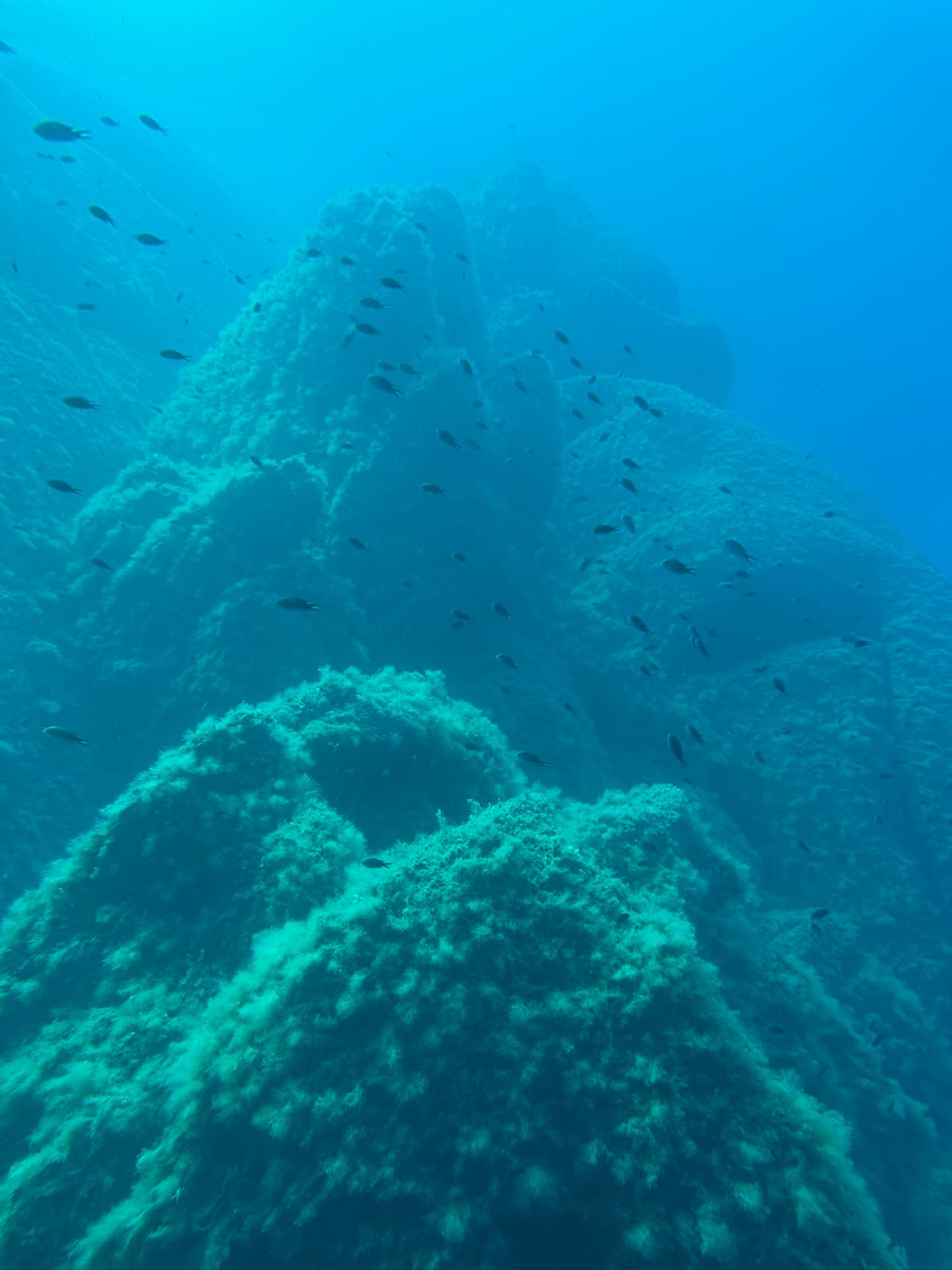 Dive photo