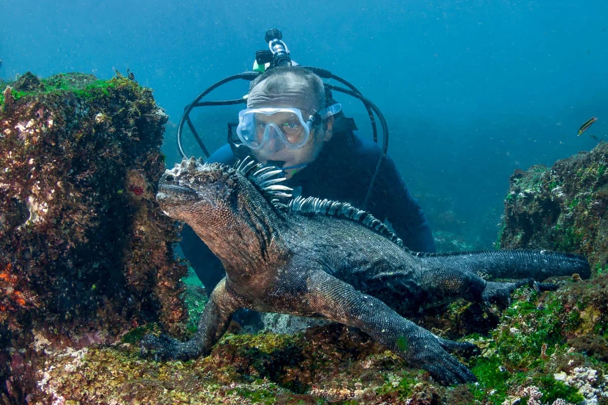 Dive photo
