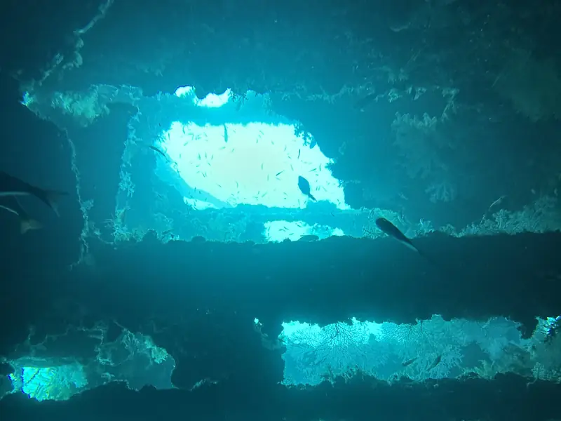 Light through the frames of a shipwreck interior