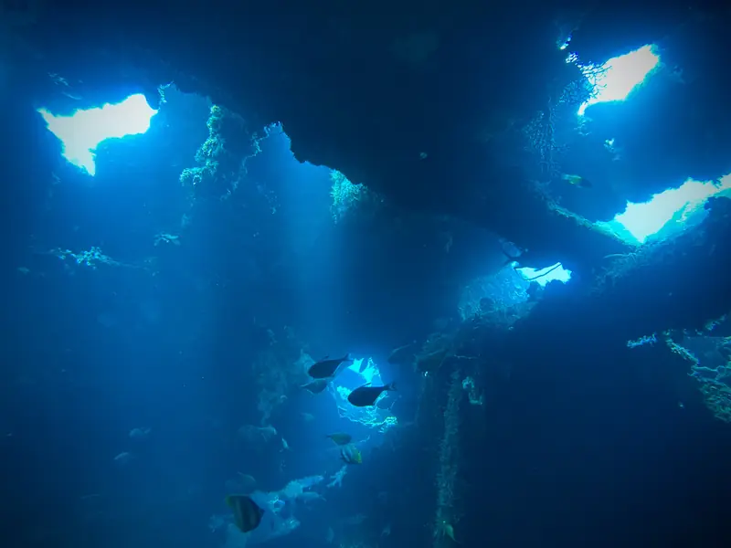Sunlight falling through openings in a cave roof underwater
